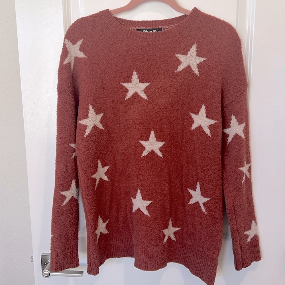 Fuzzy Fall Teddy Sweater